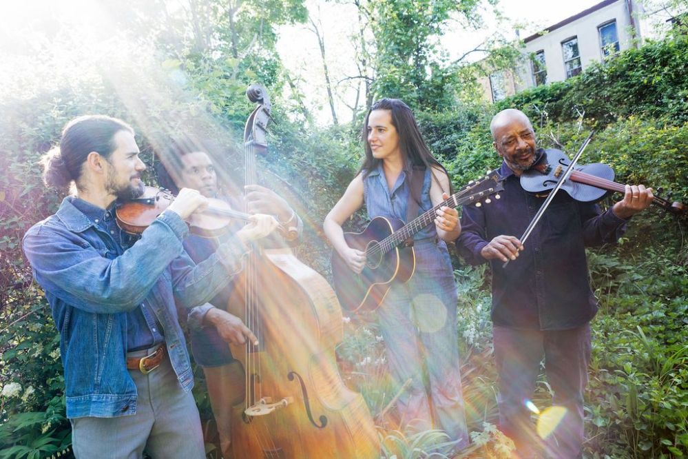 Eureka Shoes playing in a green garden. photo by Erika Kapin